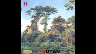 HUTAN.mp4