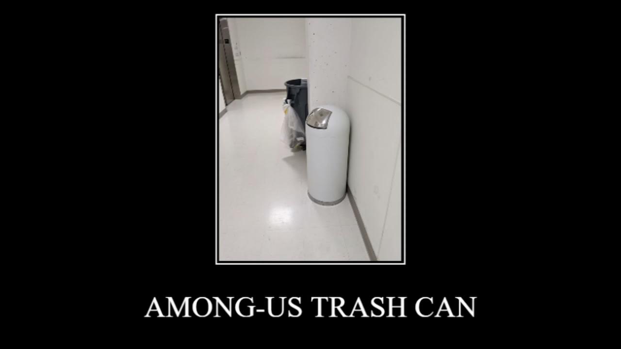 doflamingo in among us trash can be like