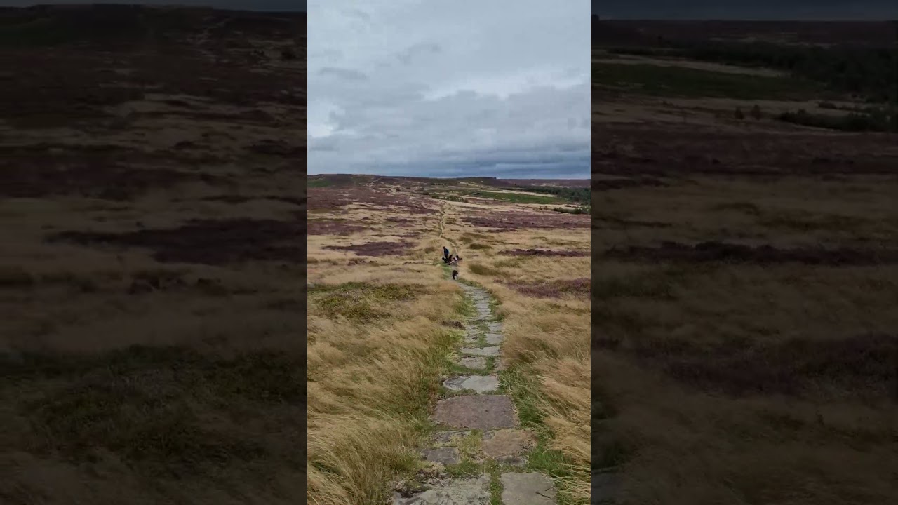 Lord Stones Country Park, Cleveland