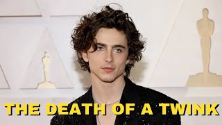 Timothee Chalamet And The Death of A Twink