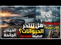 هل الحيوانات تنتحر؟ 😱 الحقيقة التي صدمت العلماء!