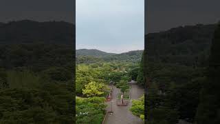 인천대공원 문화마당 영상