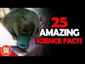 25 amazing science facts that are weird wild and true