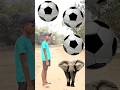 Rounding coconuts to Duck, Peacock, Pigeon &amp; Parrot - Birds names magic video#foryou#plzsupport