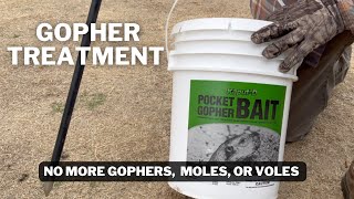 Getting rid of GOPHERS, VOLES, and MOLES