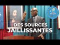 DES SOURCES JAILLISSANTES