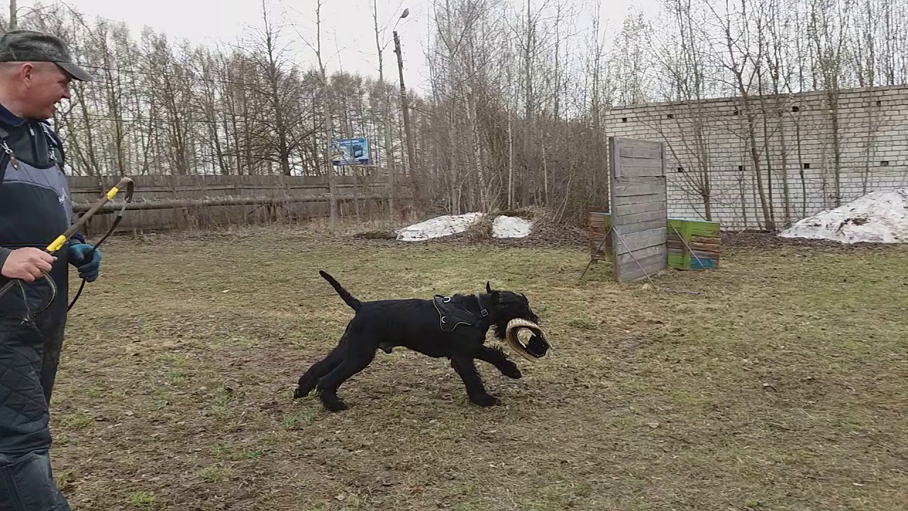 Gloris Birmingham 5 занятие(3)