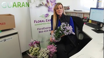 Week 14 - Rachel Special - Statice