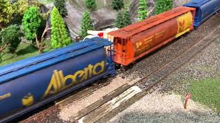 CP action on the Ottawa layout