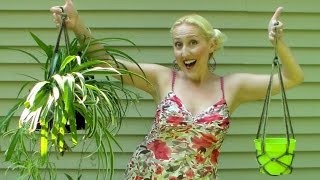 Today I am going to share a quick and easy way to make a rope plant hanger. It looks similar to the macrame plant hangers that 