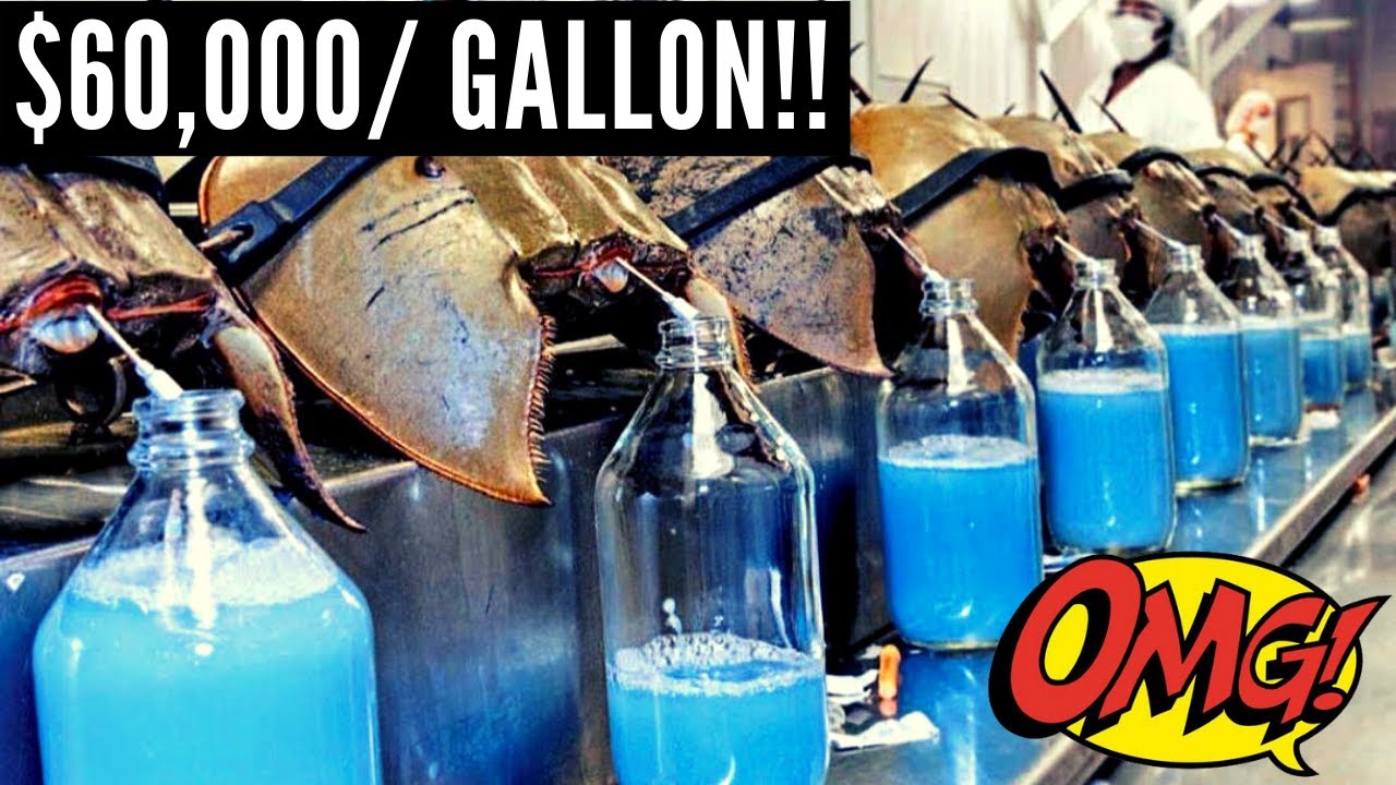 10 Top Most Expensive Liquids YouTube