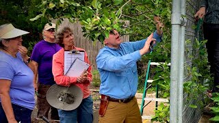 Restoring Espalier in Phases