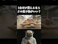 どれか貰えるならどの乗り物がいい?