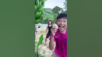 thật bất ngờ buồng chuối  cho người quấy chậm chân là mất ăn#shorts