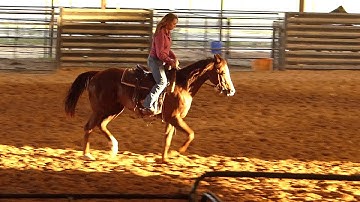TCR Teques Due Time - sorting practice - warming up #1 - Valley View Ranch