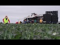 Farmworkers in Salinas, California