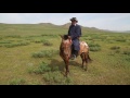 Duke Global Health Master's Students Investigate Zoonotic Diseases in Mongolia