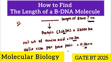 The contour length of a B-DNA molecule that encodes a bacterial protein of 33kDa is ____nm?