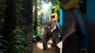 Big Brother Chose An Elephant Mask The Result Was Pure Joy