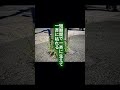 【外来種】ナガミヒナゲシは何が問題なのか。ナガミヒナゲシは、ただ増える草ではありません。強い繁殖力で広がり、他の草が入り込む余地を減らし、土地の遷移まで偏らせていく草です。