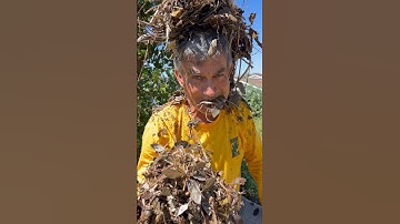 #mulch 🍂🍃has so many benefits in your #landscape. #mulching #shorts #funny #doNOTeat #gardening