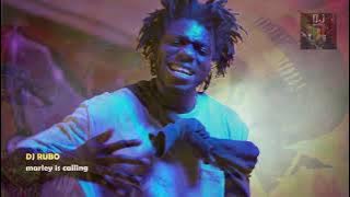 DJ RUBO Marley Is Calling