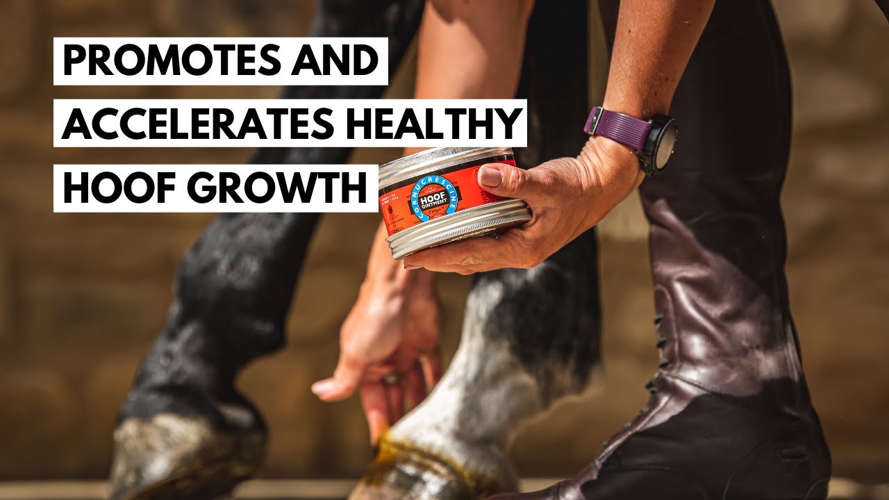 Promotes and Accelerates Healthy Hoof Growth | Carr & Day & Martin