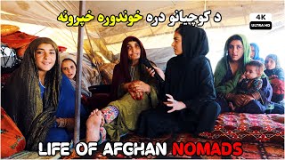 life of Afghan nomads | د کوچيانو دره خوندوره خپرونه | Ultra HD