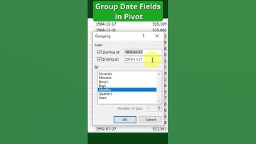 Organize Your Data FAST with Pivot Table GROUPING!  Excel Tips and Tricks