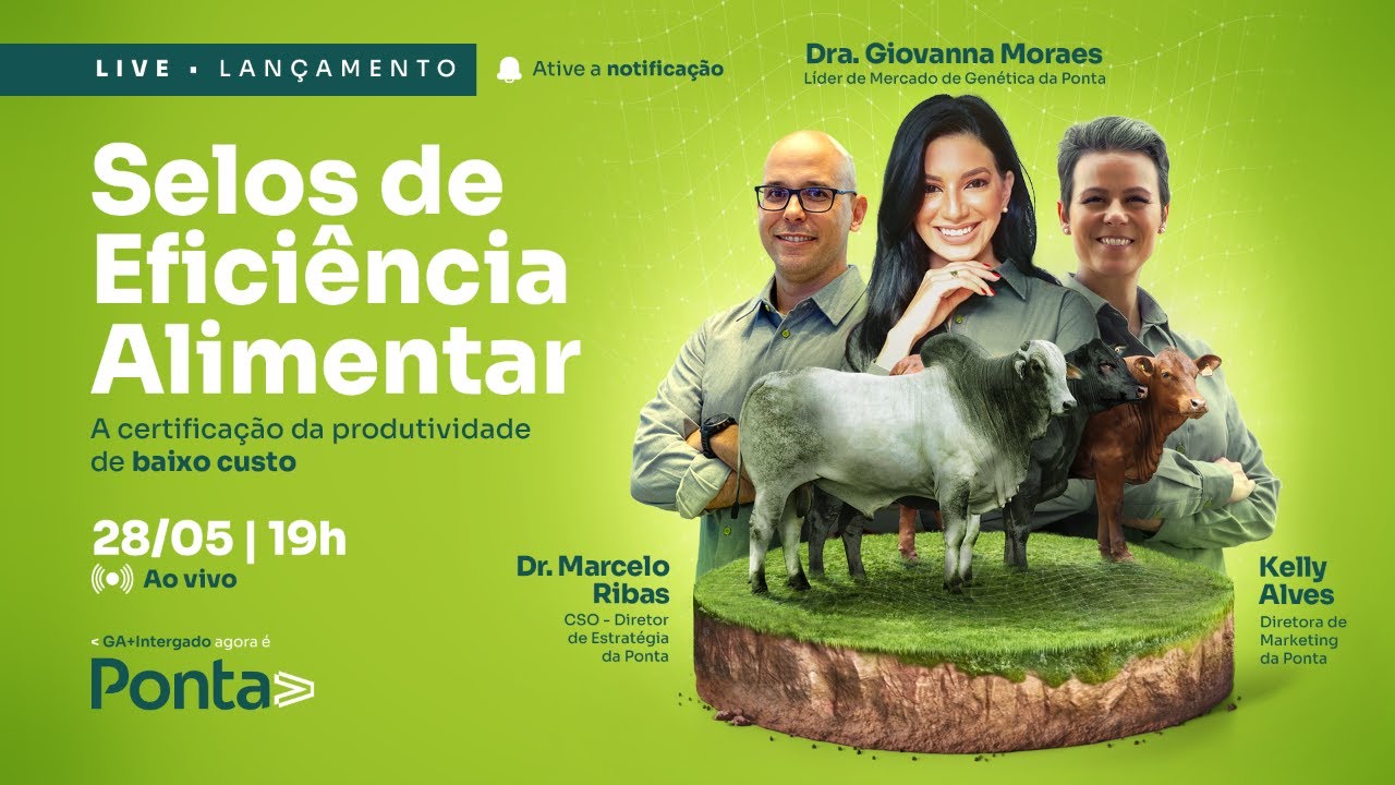 SELOS DE EFICIÊNCIA ALIMENTAR - Lançamento