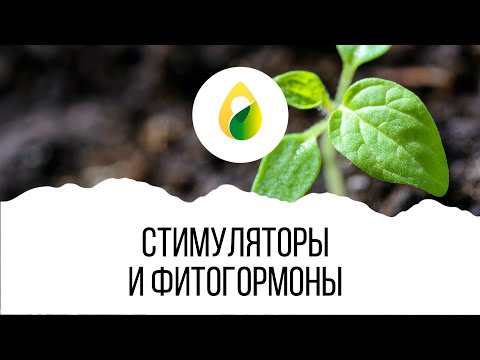 Видео: Что хранит биохимические вещества, помогающие росту растений?
