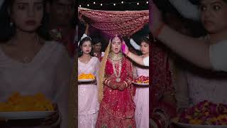 Happy Holi funny comedy video 🤪 😜 😇🤣😅 #hapoyholi #aifunny #aishorts #comedy #funny #holi #funnyreel