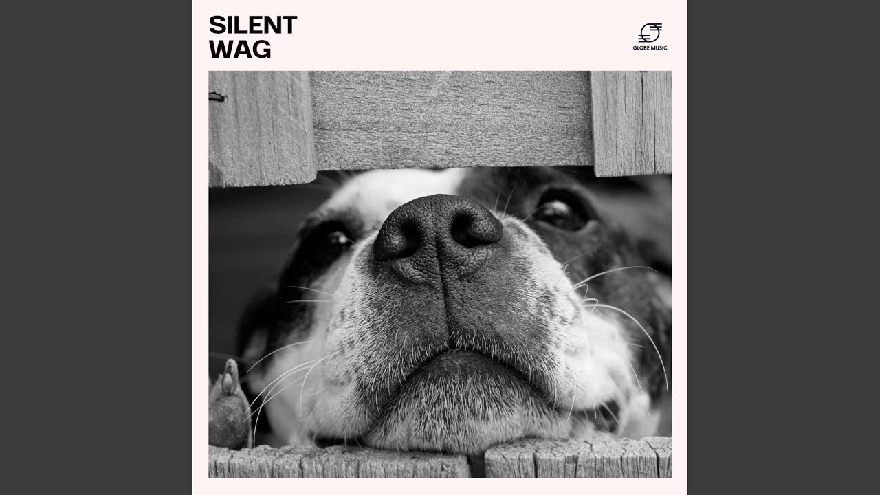 Pet Energy Healing Music