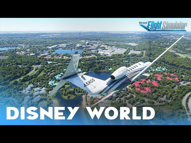 Fly Over Disney World in Microsoft Flight Simulator 2020! - Inside