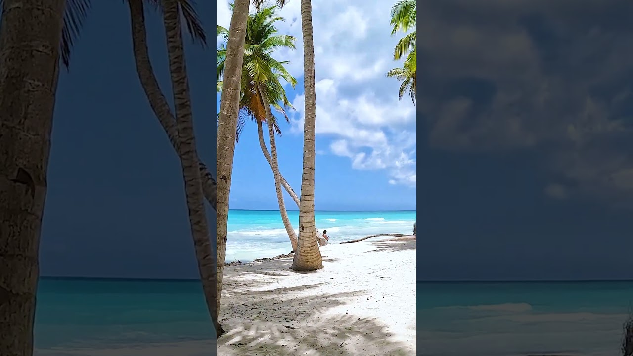 Amazing Del Gato Beach, Saona Island, Dominican Republic 🥰 