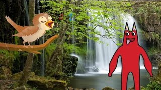 Banban's ABC Bird Safari Episode 14: N is for Nightingale