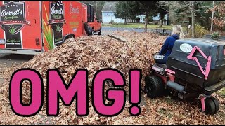 We didn’t EXPECT this! This leaf cleanup was MASSIVE!
