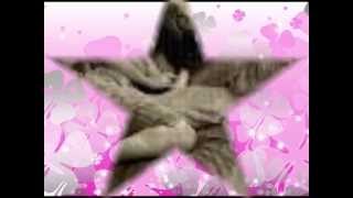 Just Another Woman In Love by Anne Murray(w/ lyrics)