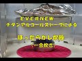EVERNEW チタンアルコールストーブ(EBY254)での焦げ付き無し「ほったらかし炊飯」