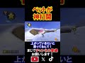 ペットのふりをして4足歩行で走り抜けたら神打開が出来た裏技。 マリオカート8デラックス 実況 マリオカート8DX #shorts