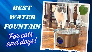 Perfecting Pet Hydration: The Ultimate Pet Water Fountain Review