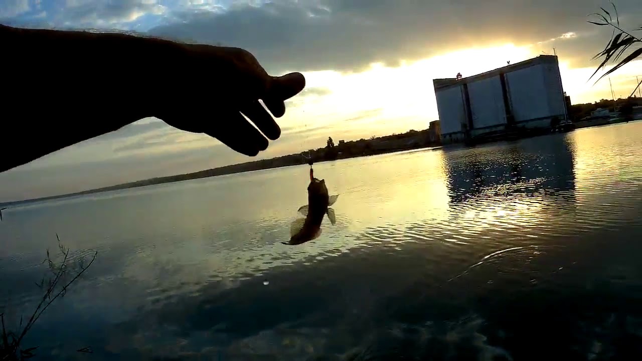 Стрит-фишинг. Рыбалка в Николаеве. Варваровка. Спиннинг. - YouTube