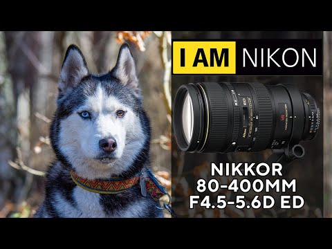 Объектив AF VR Zoom Nikkor 80 400mm F4-5 5-6D ED
