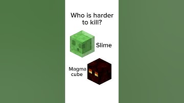 Slime VS magma cube