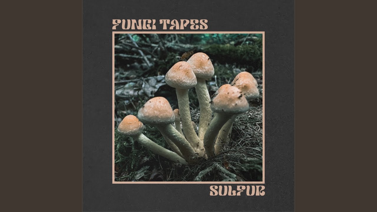 Watch Sulfur on YouTube Watch Sulfur on YouTube