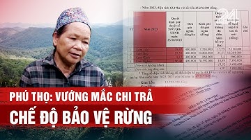 Tiêu điểm: Phú Thọ: Vướng mắc chi trả chế độ bảo vệ rừng | VTV24