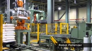 Case study: Automated Packaging System(2) (EN)