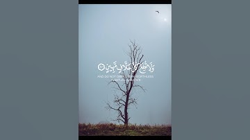 أجمل تلاوة هادئة 🩵 راحة وسكينة وهدوء 💞