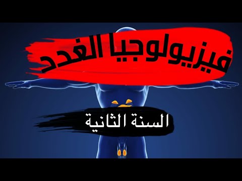 فيزيولوجيا غدية المحاضرة الثالثة د محمود حسون 