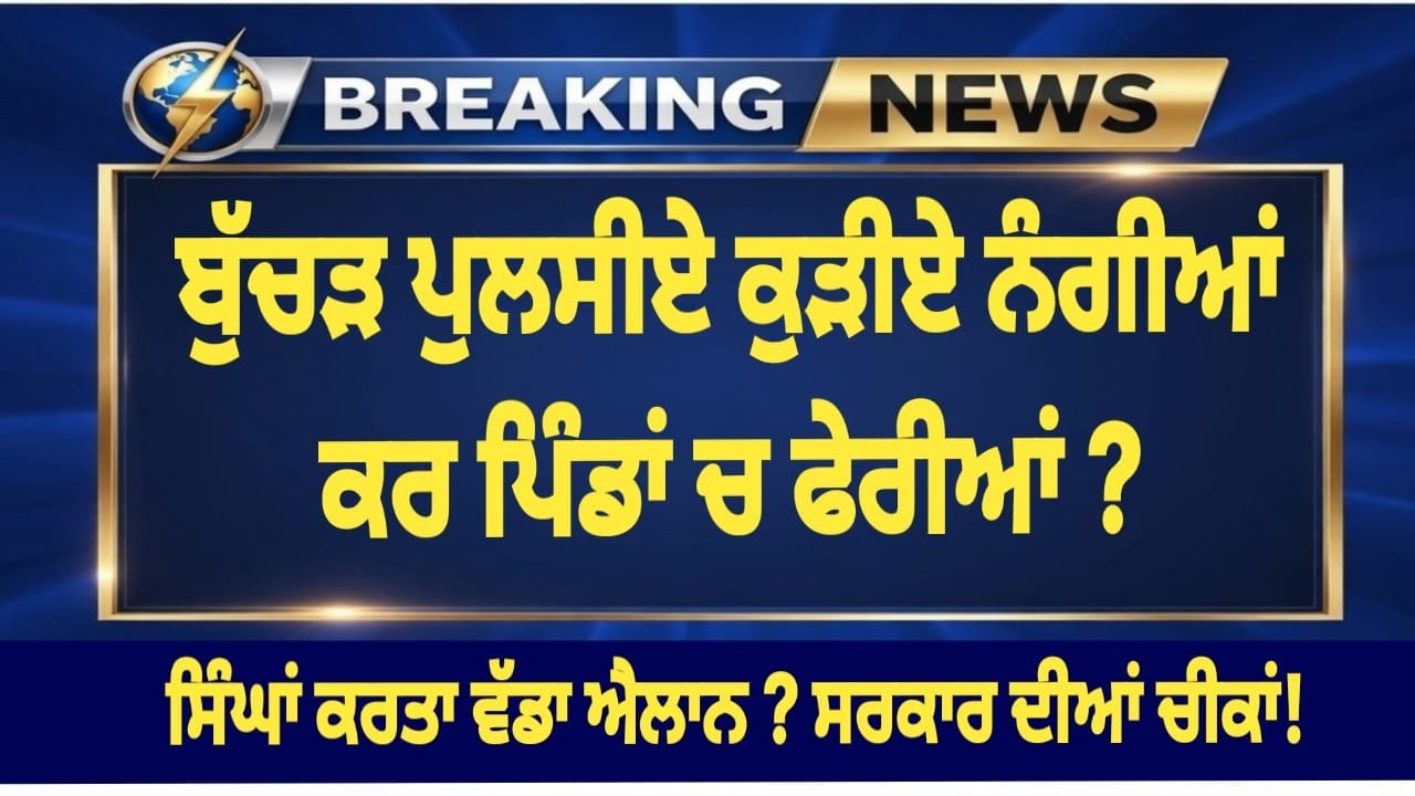 ਸਿੰਘਾਂ ਕਰਤਾ ਵੱਡਾ ਐਲਾਨ ? ਸਰਕਾਰ ਦੀਆਂ ਚੀਕਾਂ!